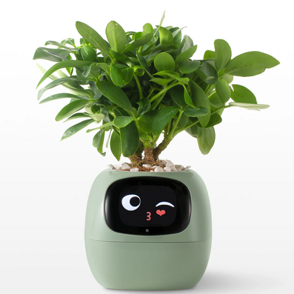 Smart IVY robot plant pot