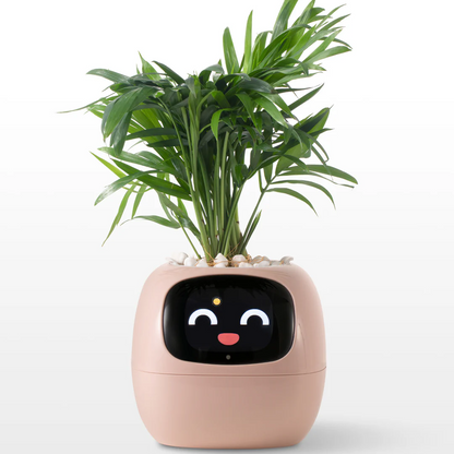 Smart IVY robot plant pot