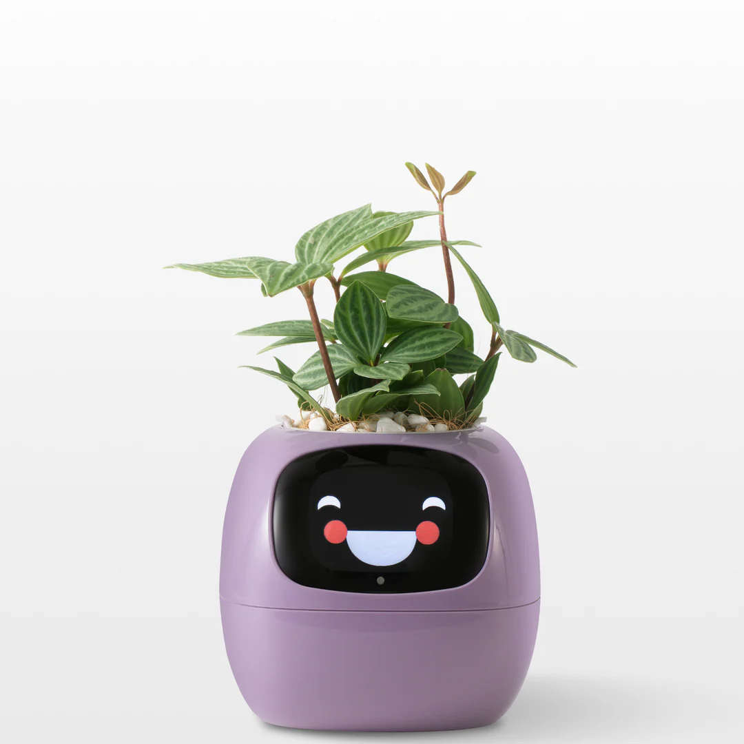 Smart IVY robot plant pot