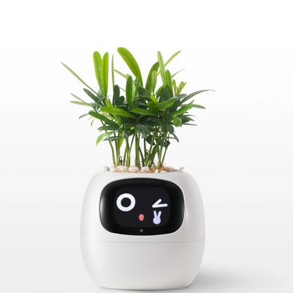 Smart IVY robot plant pot