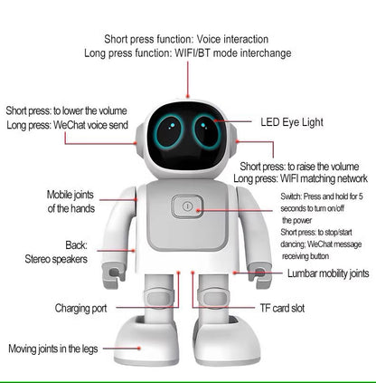 Dancing Robot Robert