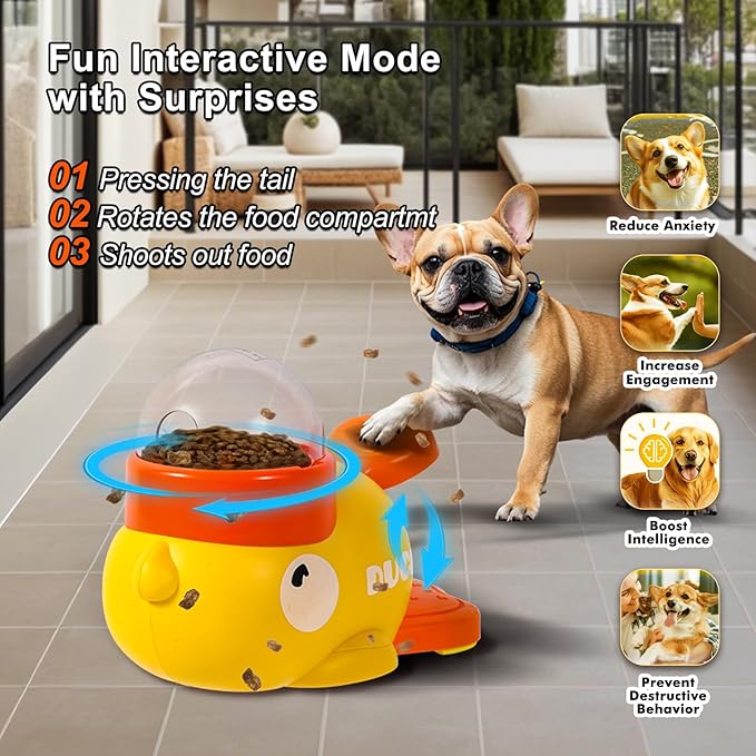 2-in-1 Dog Interactive Slow Feeder Dog Food